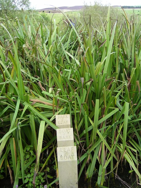 MINOLTA DIGITAL CAMERA