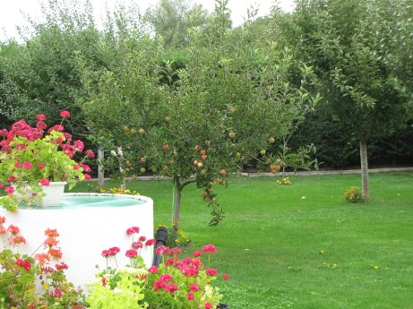 LorenaLozano_Herbarium_JardindeElo1