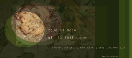 LorenaLozano_allisleaf_2014