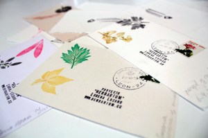 Herbarium_Lorena Lozano_postales2