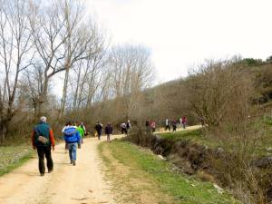 LorenaLozano_Herbarium_PaseoSonoro2