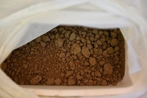 Herbarium_LorenaLozano26