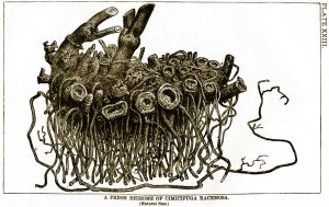 1-econodos_transferencias-web