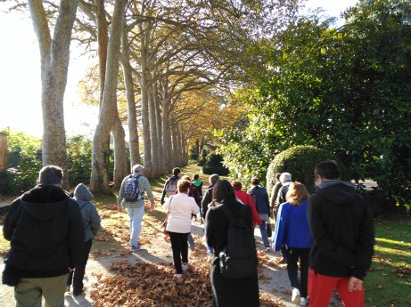 herbarium Lorena Lozano botánico