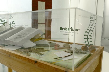 06galeria_herbarium
